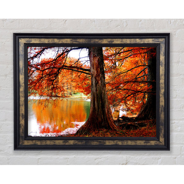 Bright Star Herbst Orange River Reflections Einzelne Bilderrahmen